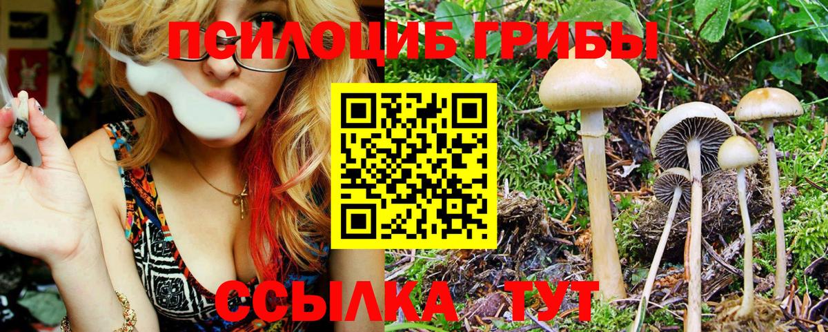 Галлюциногенные грибы Psilocybine cubensis  Вход с VPN  Улан-Удэ  Галлюциногенные грибы мухоморы 